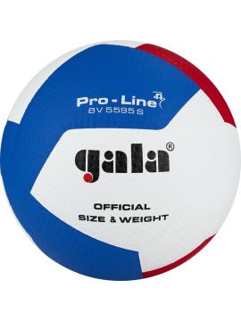 Мяч вол. GALA Pro-Line 12, р. 5,синт.кожа ПУ Microfiber,клееный,бут.кам,бело-гол
