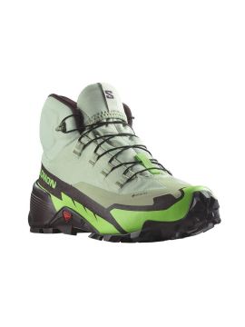 Кроссовки Salomon CROSS HIKE MID GTX 2 Desert Sage/Green Gecko/Chocolate Plum Male