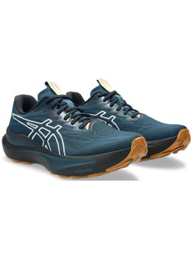 Кроссовки ASICS GT-2000 14 TR (M) (nature bathing/tranquil teal)