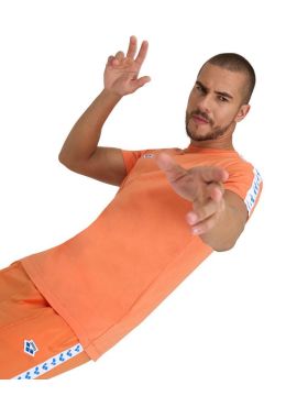 Футболка м T-SHIRT TEAM M nespola-white-roy S ARENA 23