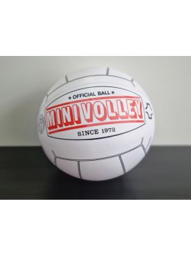 Мяч для японского мини волейбола