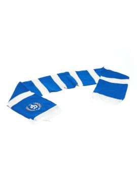 шарф Динамо Москва син-бел.